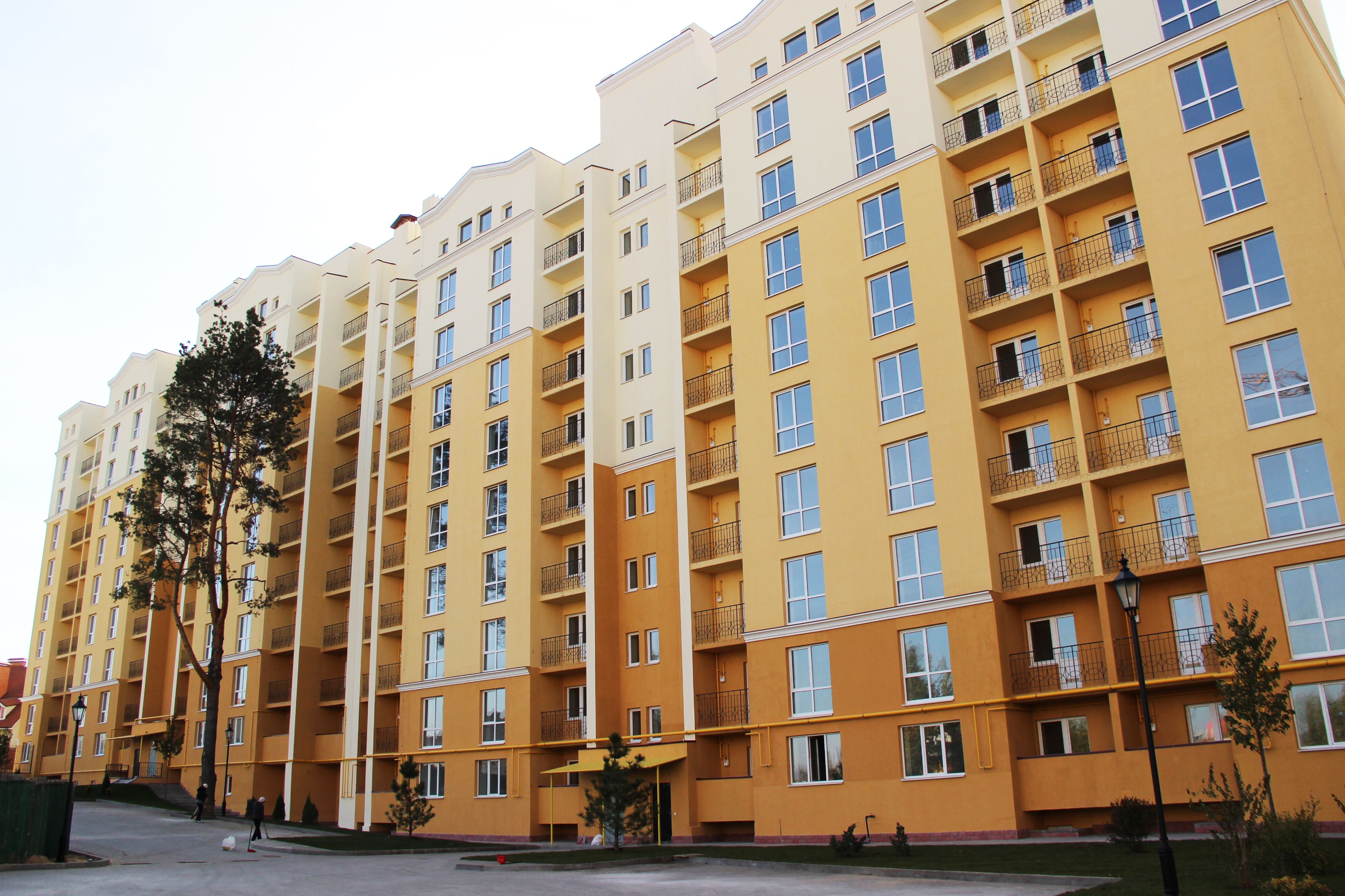 Большая семья ЖК "Чайка" в очередной раз пополнится новыми жителями Большая семья ЖК "Чайка" в очередной раз пополнится новыми жителями