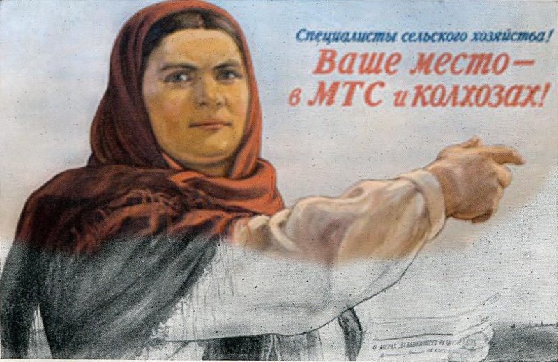 ДНР рулит: боевики в Криничной создали первый колхоз
