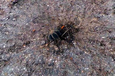 Боевики на Донбассе продолжают обстрелы: под Артемовском и Донецком ведет огонь артиллерия
