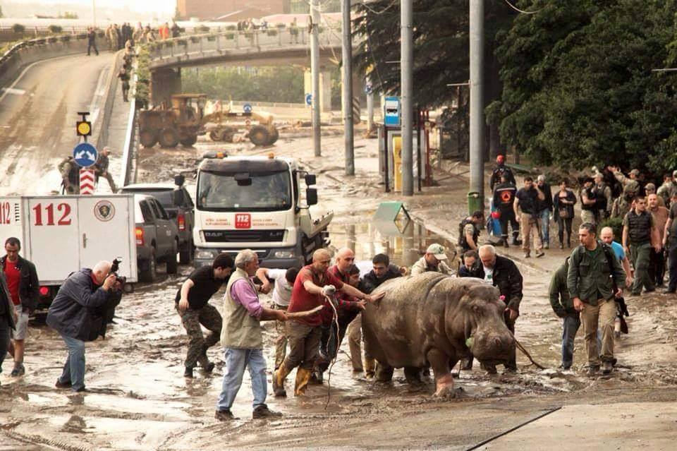 Последствия наводнения на улицах Тбилиси