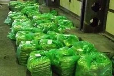 Перехваченный героин Перехваченный героин