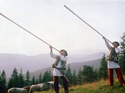 В Карпатах ищут 14-летнюю девочку: ребенок вышел на связь