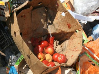 В России за ввоз санкционных продуктов хотят сажать на 12 лет