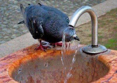 Жара, лето, вода