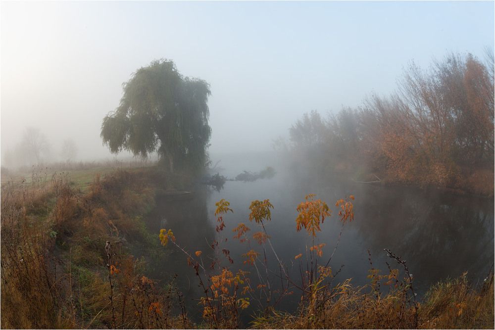 осень, дождь, туман