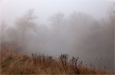 Туман, иллюстрация