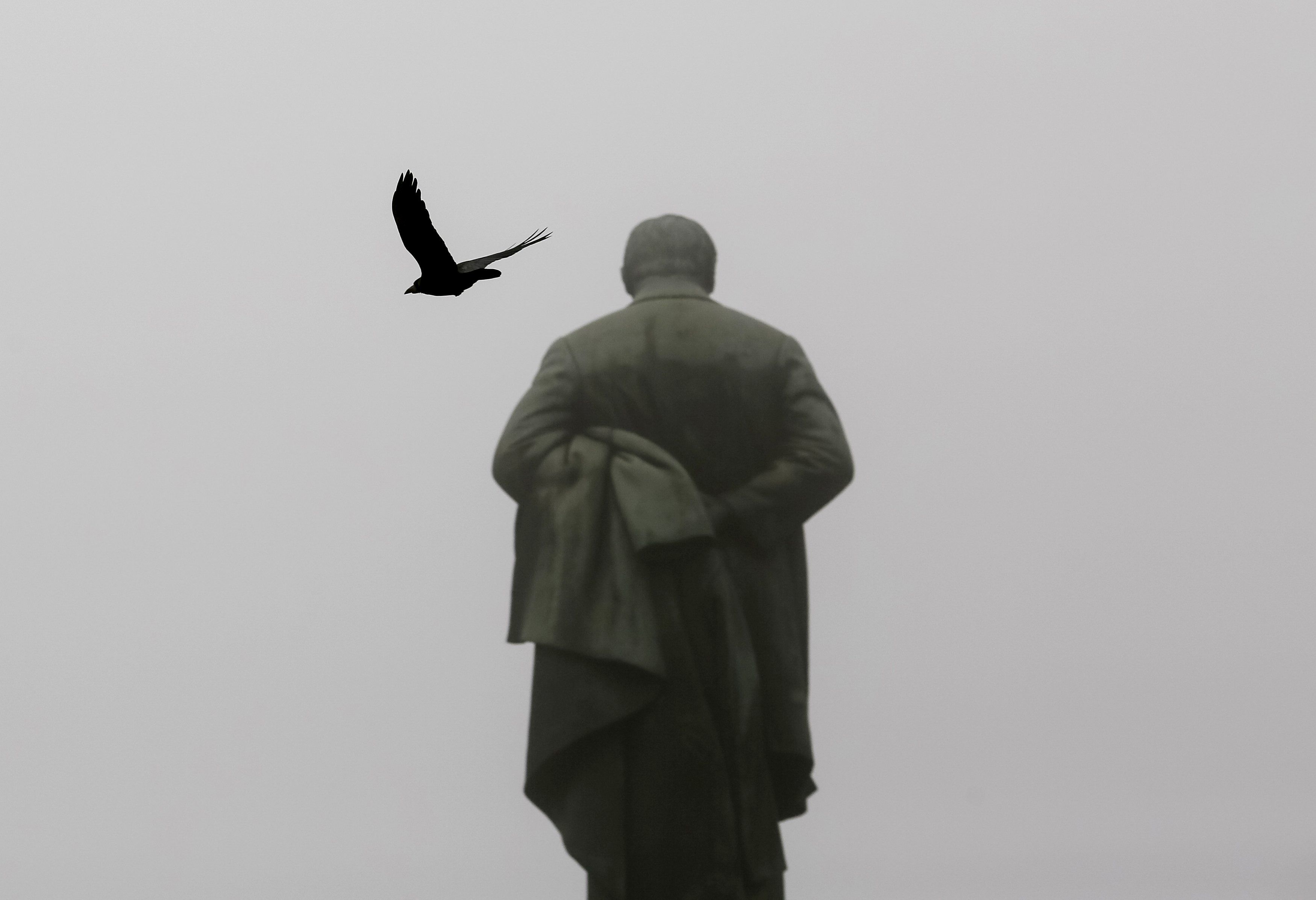 Осень, Киев, Шевченко