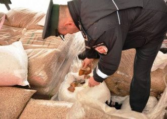 Янтарь, контрабанда, Польша 2