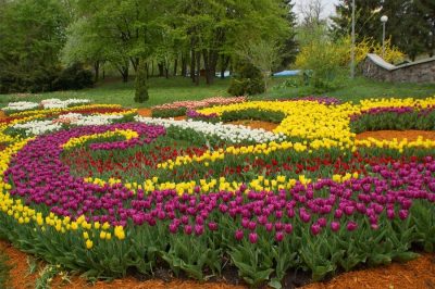 Народный синоптик спрогнозировал, что в Украине после Пасхи температура повысится до +22 градусов