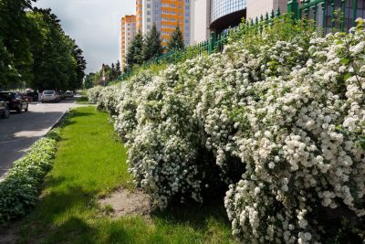 Эксперт спрогнозировал, что на Вербной неделе в Украине будет похолодание