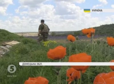 Силовики на Донбассе, иллюстрация Силовики на Донбассе, иллюстрация