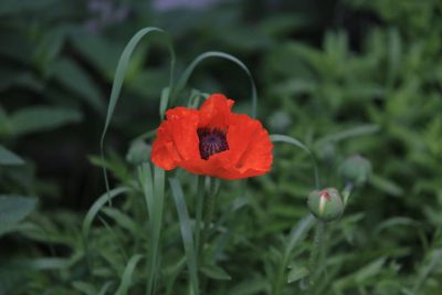 "Самый теплый день": синоптик предупредила о температурных качелях в Украине