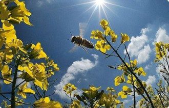Погода в Украине — В середине июня 2019 вероятны ливни, град и шквалы, предупредила синоптик Погода в Украине — В середине июня 2019 вероятны ливни, град и шквалы, предупредила синоптик