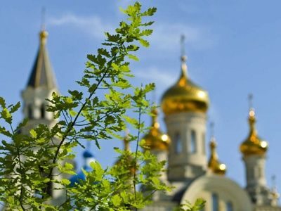 Архиепископ объяснил, как правильно отмечать Троицу