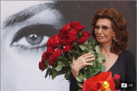 Софі Лорен екстрено госпіталізували: що сталося