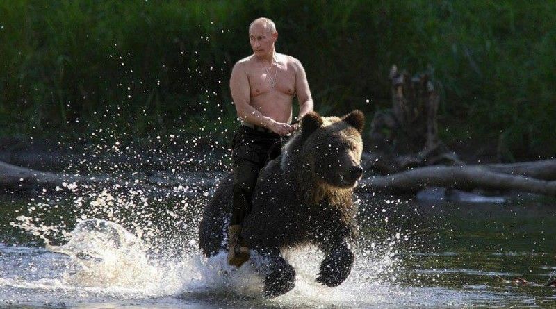Путин, Медведь Путин, Медведь