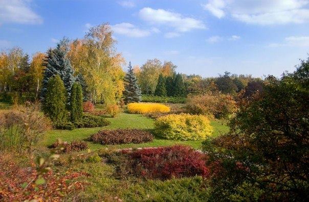 осень, Кривой Рог, ботсад осень, Кривой Рог, ботсад