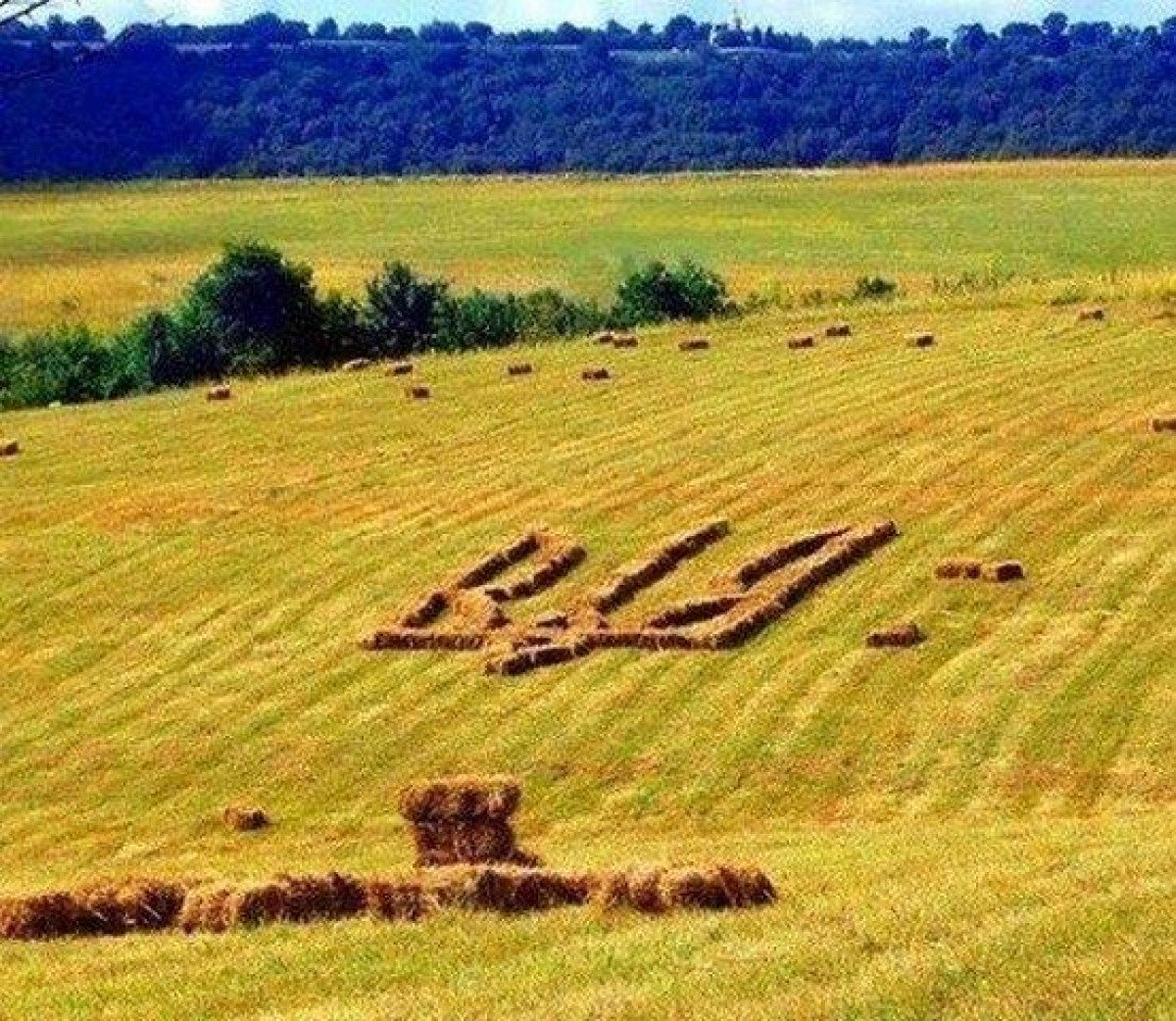 Украинские поля. Поля Украины. Украински поля. Украина фотографии полей. Украинские поля фото.