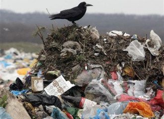 Невиданные муки предрекли человечеству 11 тысяч ученых Невиданные муки предрекли человечеству 11 тысяч ученых