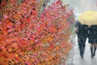 осень, дождь, снег