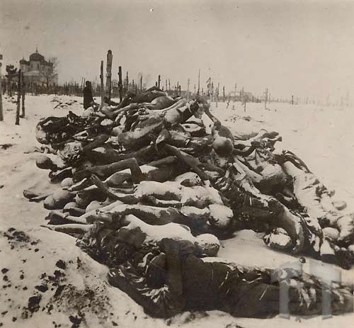 Жертвы Голодомора 1921-1923 гг. Жертвы Голодомора 1921-1923 гг.