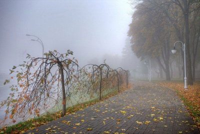 Синоптики спрогнозировали, что в Киеве 6-7 октября потеплеет Синоптики спрогнозировали, что в Киеве 6-7 октября потеплеет