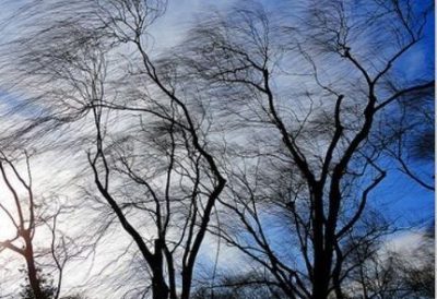 ветер, шторм, предупреждение ветер, шторм, предупреждение