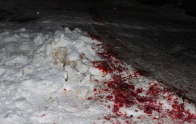 Суд арестовал участников конфликта в Олевске Суд арестовал участников конфликта в Олевске