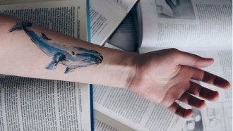 синий кит, суицид, соцсети синий кит, суицид, соцсети