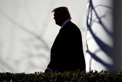 Дональд Трамп Дональд Трамп