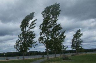 ветер, шторм, предупреждение