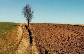 земля, продажа земля, продажа