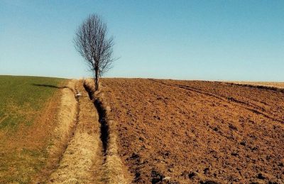 земля, продажа земля, продажа