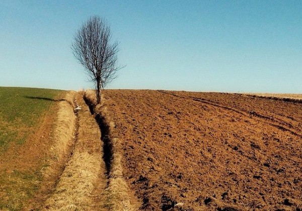 Большинство украинцев "забанили" продажу земли – опрос