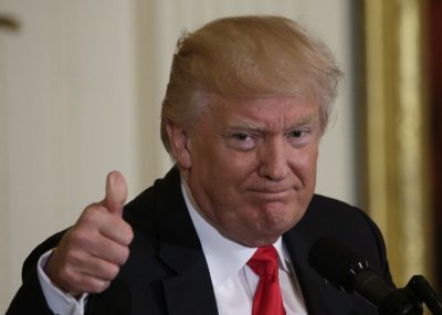 Трамп Трамп