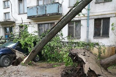 Последствия урагана в Москве, иллюстрация Последствия урагана в Москве, иллюстрация
