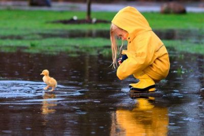 Погода в Киеве и Украине: кому грозит шторм с градом Погода в Киеве и Украине: кому грозит шторм с градом