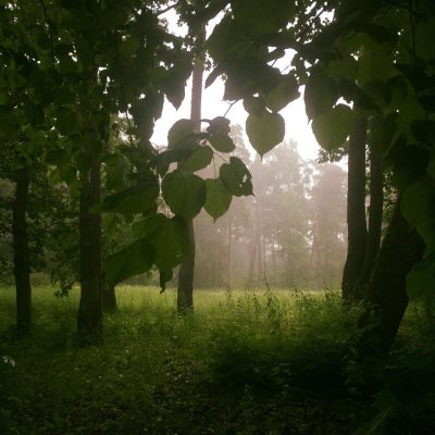 Дождь, Юрмала, погода, лето