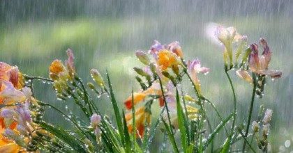 Синоптики здивували прогнозом на Великдень: погода в Києві різко зміниться