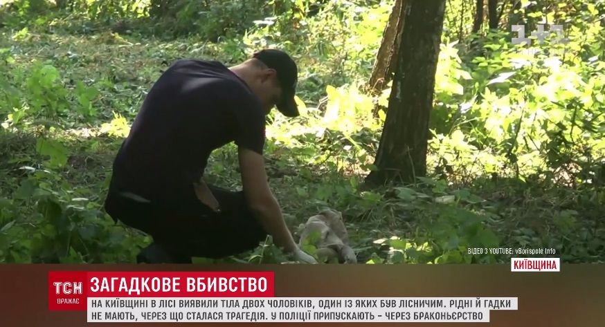 / Скриншот / Скриншот