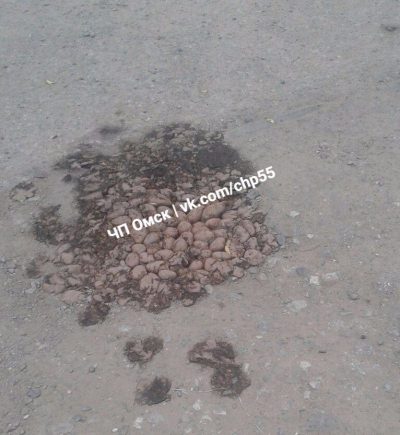 "Нанотехнологии" в РФ. В Омске яму на дороге заделали картошкой, опубликовано фото