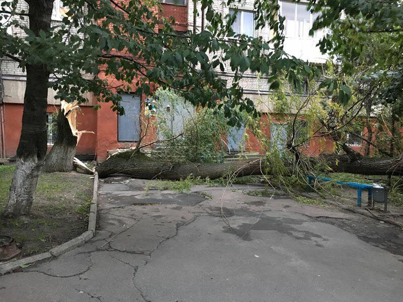 Мощный ураган накрыл Украину. Семь областей без электричества и рухнувшие деревья, опубликованы фото