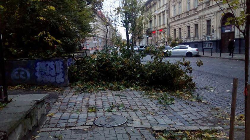 Мощный ураган накрыл Украину. Семь областей без электричества и рухнувшие деревья, опубликованы фото