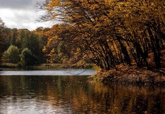 Киев, осень, голосеево Киев, осень, голосеево