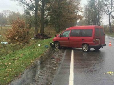 ДТП на Львовщине. Столкнулись "Таврия" и Peugeot, погибли мать и ее 10-летняя дочь