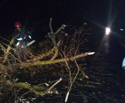Погода в Украине — В Украине из-за непогоды были повалены десятки деревьев и подтоплены дома, сообщили спасатели