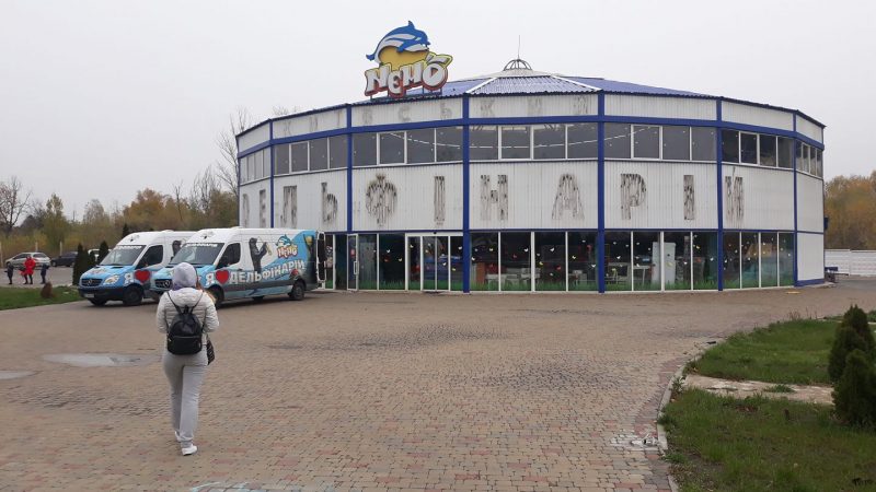 В Киеве закрыли скандальный дельфинарий "Немо". Сеть бурно отреагировала