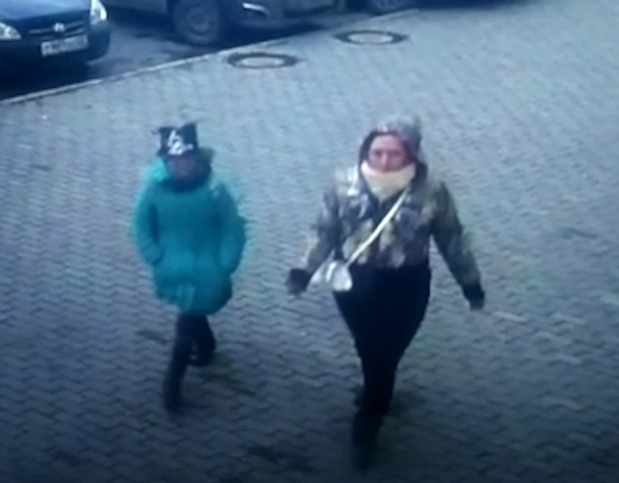 Девочка и женщина Девочка и женщина