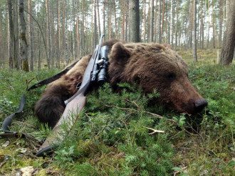 Ведмідь і рушниця Ведмідь і рушниця