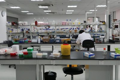 Исследователи проводили эксперимент над генетически модифицированными плодовым мушкам Исследователи проводили эксперимент над генетически модифицированными плодовым мушкам